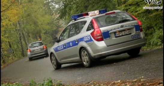 Rajd Żubrów